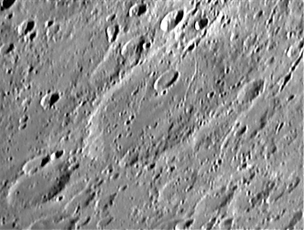 Furnerius