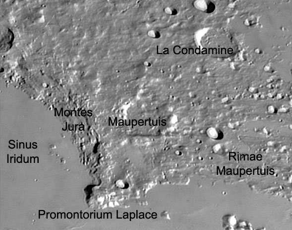 Maupertius