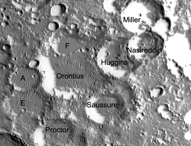 Orontius