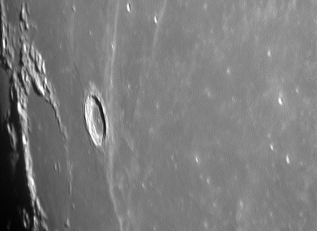 Seleucus