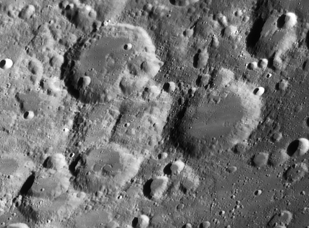 Licetus.bmp