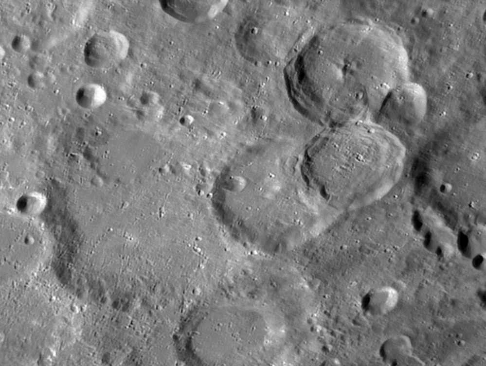 Orontius.bmp