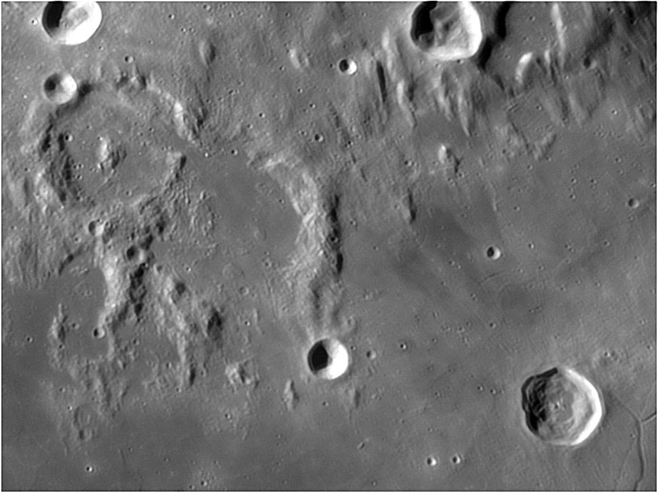 Pallas1.jpg