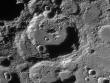Maurolycus