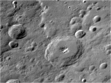 Piccolomini