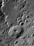 Piccolomini1