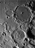 Pitatus1
