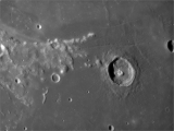 Plinius