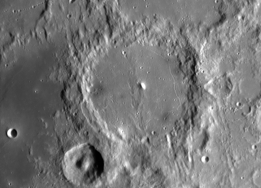Alphonsus