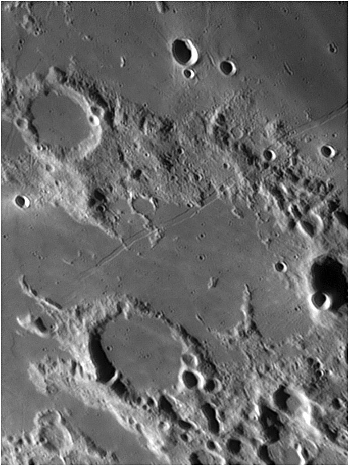 Capuanus